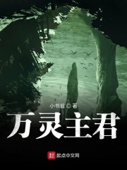 万灵主君在线阅读