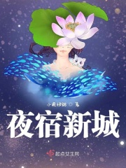 夜宿新城在线阅读