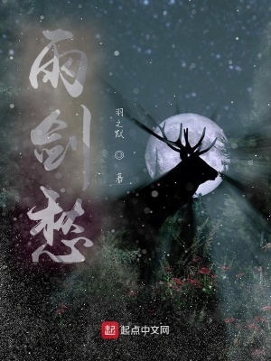 雨剑愁 羽之默著 国术无双小说 雨剑愁无弹窗 起点中文网