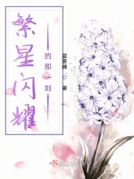 繁星闪耀的那一刻在线阅读