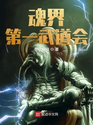 魂界第一武道会 苍叶修狼著 另类幻想小说 魂界第一武道会无弹窗 起点中文网
