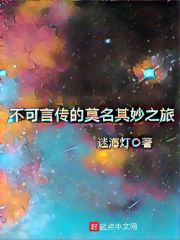 不可言传的莫名其妙之旅在线阅读