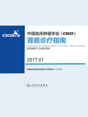 中国临床肿瘤学会（CSCO）肾癌诊疗指南 2017.V1