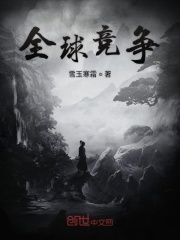 全球竞