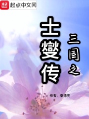 三国之士燮传