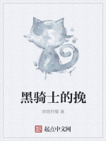 黑骑士的挽在线阅读