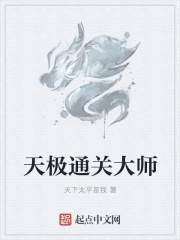 天极通关大师