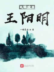 我不是王阳明