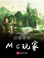 三国里的MC玩家在线阅读