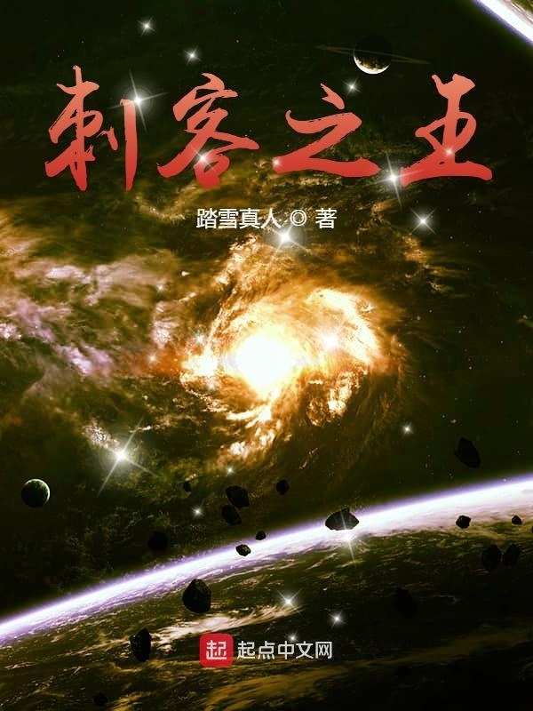 刺客之王在线阅读