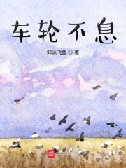 车轮不息在线阅读