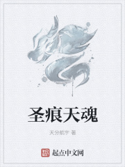 圣痕天魂