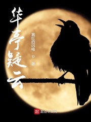 华亭疑云在线阅读
