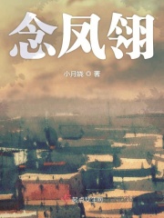 念凤翎在线阅读