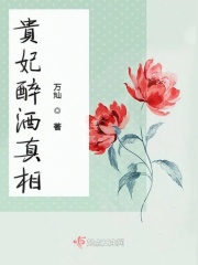 贵妃醉酒真相在线阅读