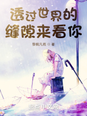 透过世界的缝隙来看你在线阅读