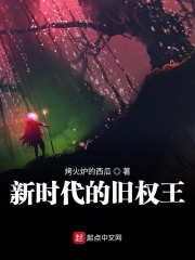 新时代的旧权王在线阅读