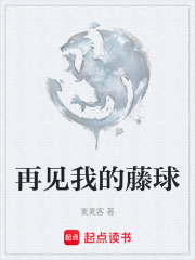 再见我的藤球在线阅读