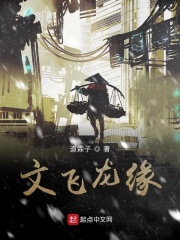 文飞龙缘