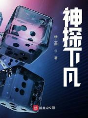 神探下凡在线阅读