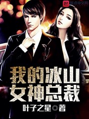 我的冰山女总裁