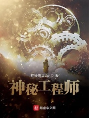 神秘工程师在线阅读