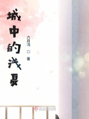 城中的浅夏在线阅读