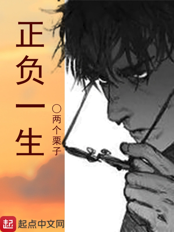 正负一生