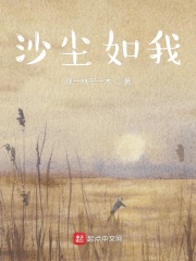 沙尘如我在线阅读