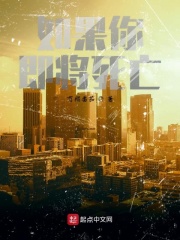 如果你即将死亡在线阅读