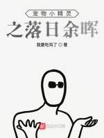 宠物小精灵之落日余晖在线阅读