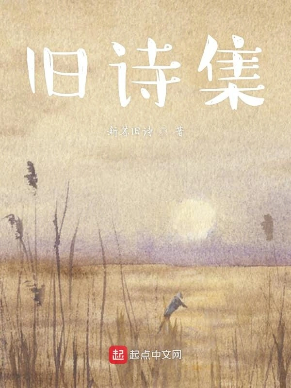 旧诗集