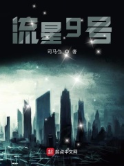 流星9号