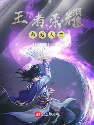 王者荣耀游戏人生