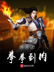 网游之拳拳到肉在线阅读