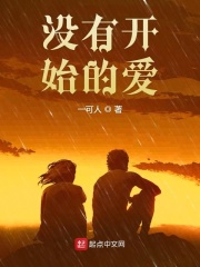 没有开始的爱在线阅读