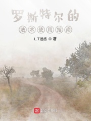 罗斯特尔的法术指南与梦镜在线阅读