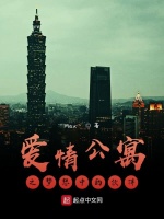 爱情公寓之梦想中的伙伴封面