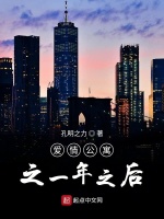 爱情公寓之一年之后在线阅读