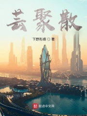 芸聚散在线阅读