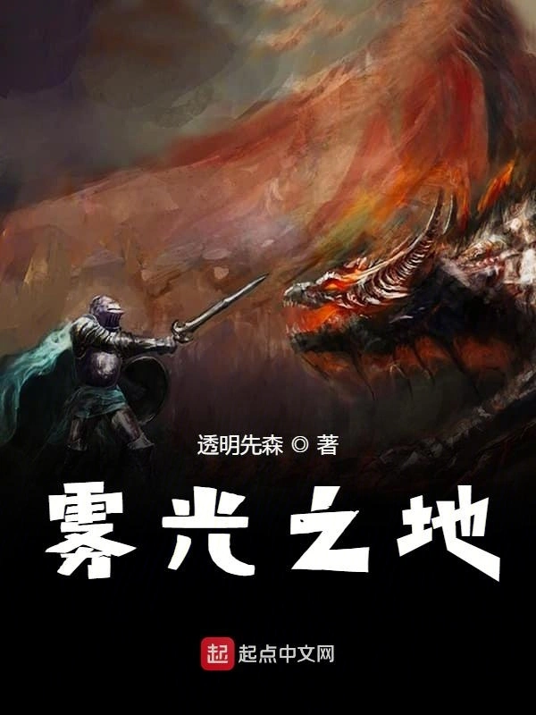 雾光之地