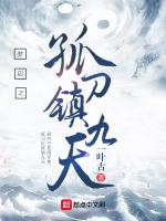 梦启之孤刀镇九天在线阅读