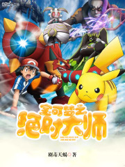 宝可梦之绝对大师