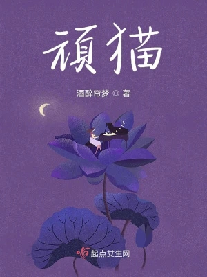 顽猫