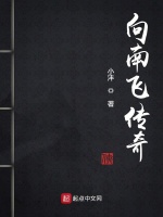 向南飞传奇在线阅读