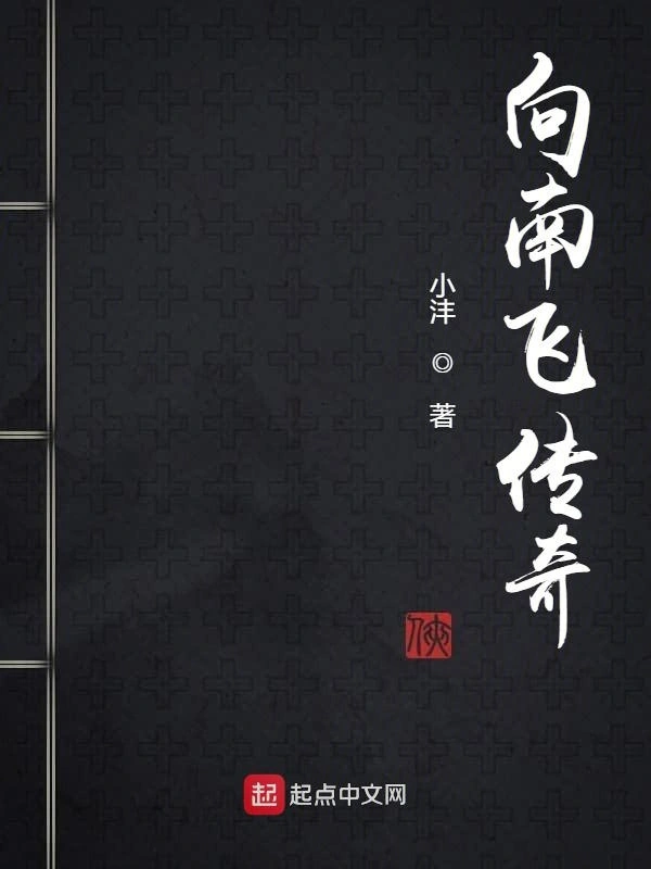 向南飞传奇