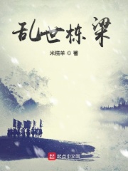 乱世栋梁在线阅读
