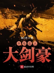 平易近人大剑豪在线阅读