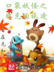 口袋妖怪之林克的旅途