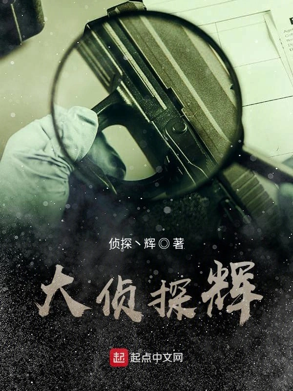 大侦探辉